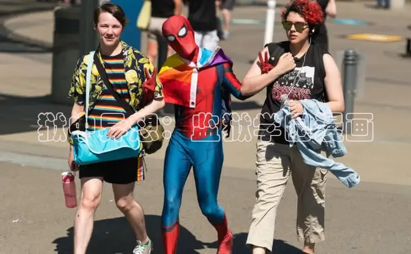 新新漫画网页版电脑